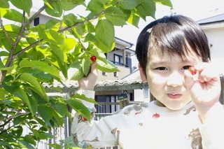 20130715mixi0004.jpg